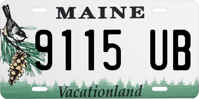 ME license plate 9115UB