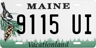 ME license plate 9115UI
