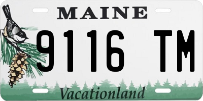ME license plate 9116TM