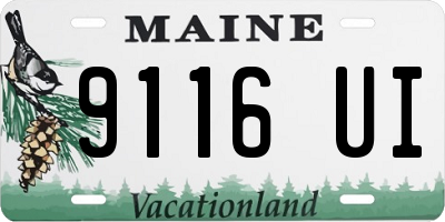 ME license plate 9116UI