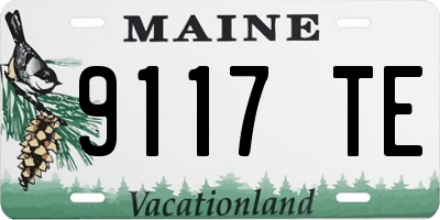 ME license plate 9117TE