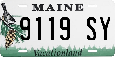 ME license plate 9119SY