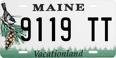 ME license plate 9119TT