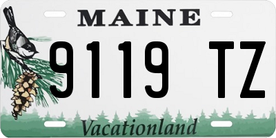 ME license plate 9119TZ