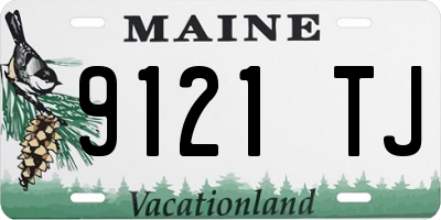 ME license plate 9121TJ
