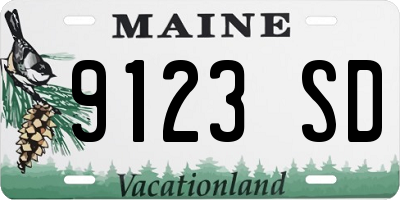 ME license plate 9123SD