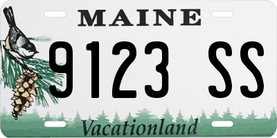 ME license plate 9123SS