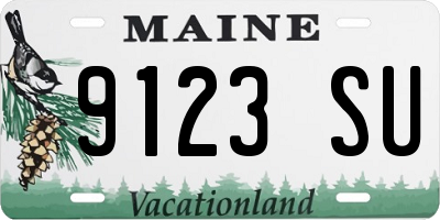 ME license plate 9123SU