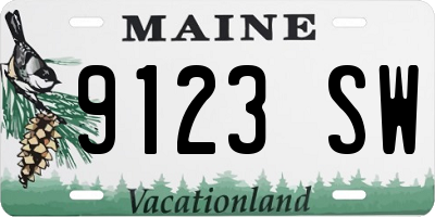 ME license plate 9123SW