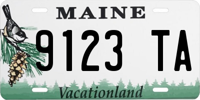 ME license plate 9123TA