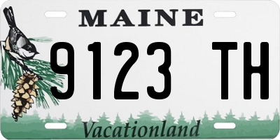 ME license plate 9123TH