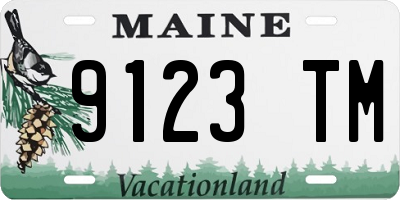 ME license plate 9123TM