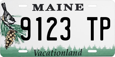ME license plate 9123TP