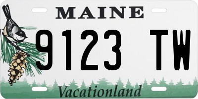 ME license plate 9123TW