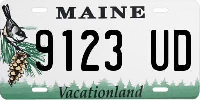 ME license plate 9123UD