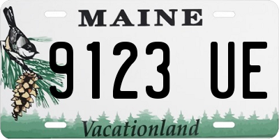 ME license plate 9123UE