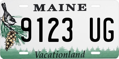 ME license plate 9123UG