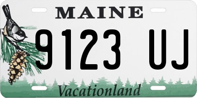 ME license plate 9123UJ