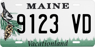 ME license plate 9123VD