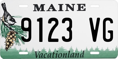 ME license plate 9123VG