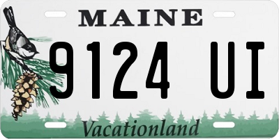 ME license plate 9124UI