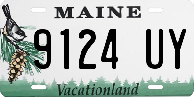 ME license plate 9124UY
