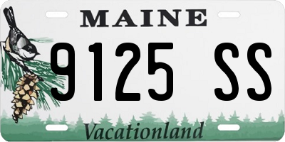 ME license plate 9125SS