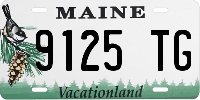 ME license plate 9125TG