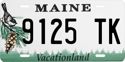 ME license plate 9125TK