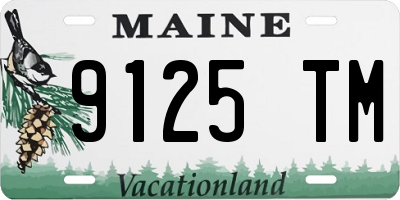 ME license plate 9125TM