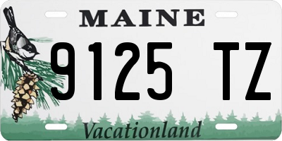 ME license plate 9125TZ