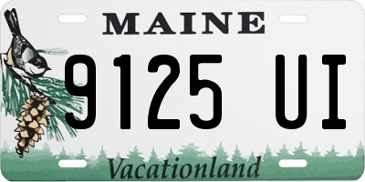 ME license plate 9125UI