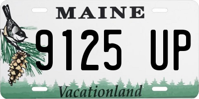 ME license plate 9125UP