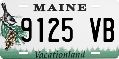 ME license plate 9125VB