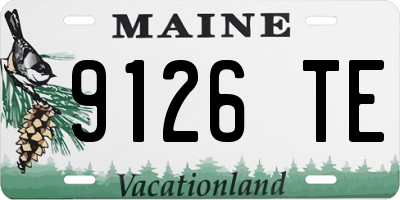 ME license plate 9126TE