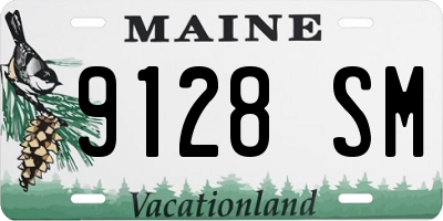 ME license plate 9128SM