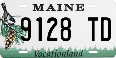 ME license plate 9128TD