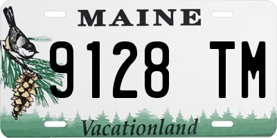 ME license plate 9128TM