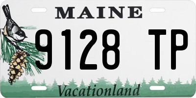 ME license plate 9128TP