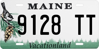 ME license plate 9128TT