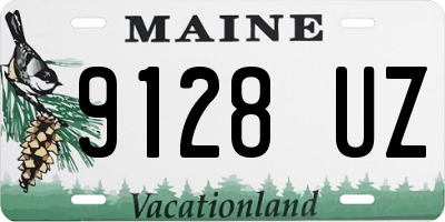ME license plate 9128UZ