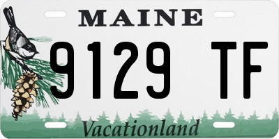 ME license plate 9129TF
