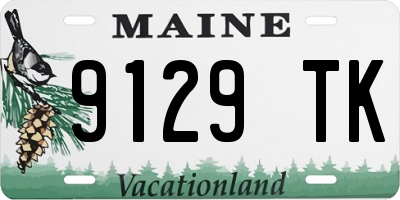 ME license plate 9129TK