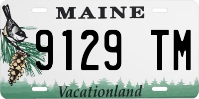 ME license plate 9129TM