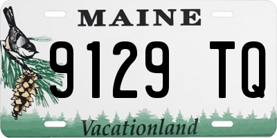 ME license plate 9129TQ