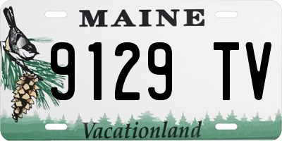 ME license plate 9129TV