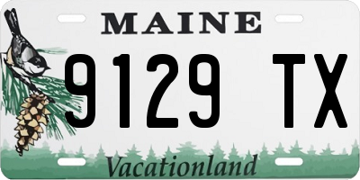 ME license plate 9129TX