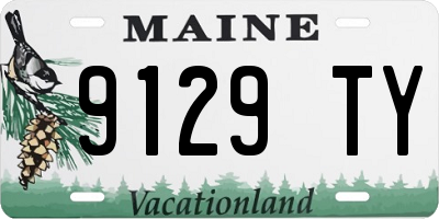 ME license plate 9129TY