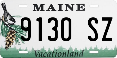 ME license plate 9130SZ