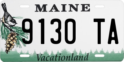 ME license plate 9130TA